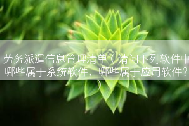 劳务派遣信息管理清单（请问下列软件中哪些属于系统软件，哪些属于应用软件？）