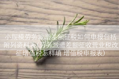 小规模劳务派遣差额征税如何申报包括附列资料表(劳务派遣差额征收营业税改征增值税怎样填 增值税申报表)