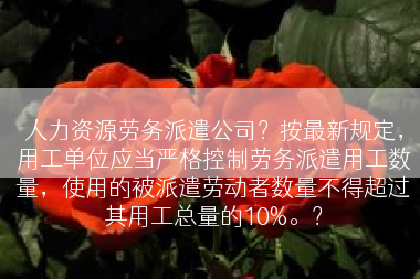 人力资源劳务派遣公司？按最新规定，用工单位应当严格控制劳务派遣用工数量，使用的被派遣劳动者数量不得超过其用工总量的10%。？