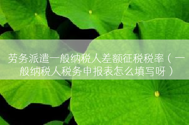 劳务派遣一般纳税人差额征税税率（一般纳税人税务申报表怎么填写呀）