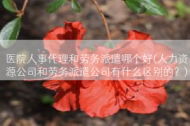 医院人事代理和劳务派遣哪个好(人力资源公司和劳务派遣公司有什么区别的？)