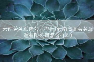 云南劳务派遣公司排行(云南高鼎劳务派遣有限公司怎么样？)