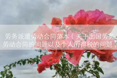 劳务派遣劳动合同范本（关于出国劳务劳动合同的问题以及个人所得税的问题）