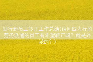 银行新员工转正工作总结(请问四大行的劳务派遣的员工有希望转正吗？就是外派的？)