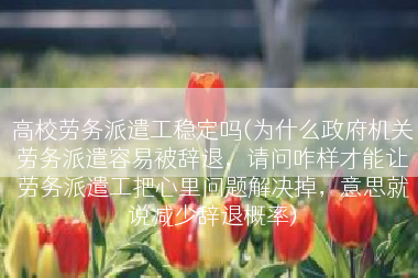 高校劳务派遣工稳定吗(为什么政府机关劳务派遣容易被辞退，请问咋样才能让劳务派遣工把心里问题解决掉，意思就说减少辞退概率)