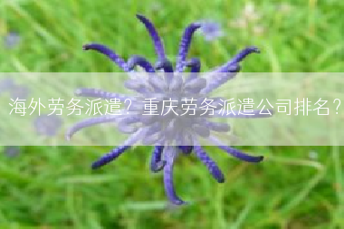 海外劳务派遣？重庆劳务派遣公司排名？