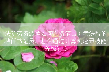 法院劳务派遣如何准备笔试（考法院的聘任书记员，怎么通过计算机速录技能等级？）