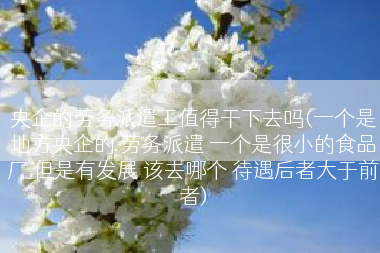 央企的劳务派遣工值得干下去吗(一个是地方央企的 劳务派遣 一个是很小的食品厂 但是有发展 该去哪个 待遇后者大于前者)