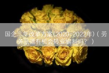 国企三年改革方案(2020-2022年)（劳务派遣有机会转业编制吗？）