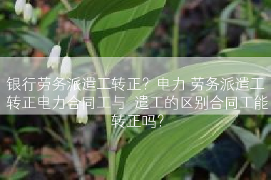 银行劳务派遣工转正？电力 劳务派遣工 转正电力合同工与泒遣工的区别合同工能转正吗？
