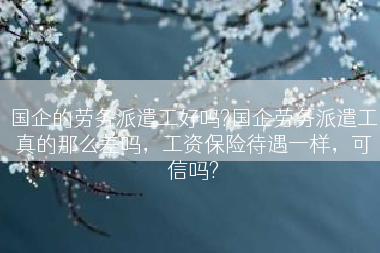 国企的劳务派遣工好吗?国企劳务派遣工真的那么差吗，工资保险待遇一样，可信吗?