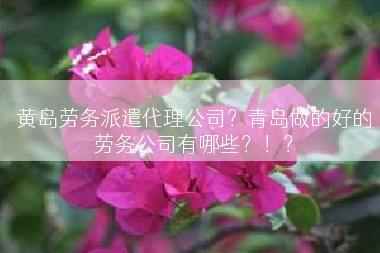 黄岛劳务派遣代理公司？青岛做的好的劳务公司有哪些？！？