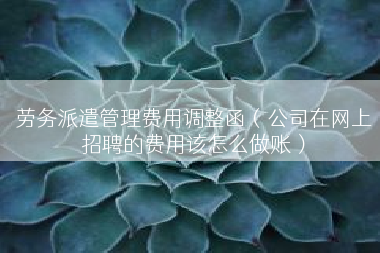劳务派遣管理费用调整函（公司在网上招聘的费用该怎么做账）