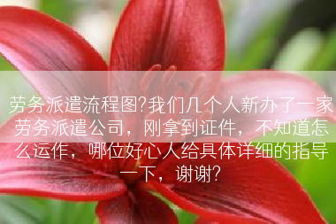 劳务派遣流程图?我们几个人新办了一家劳务派遣公司，刚拿到证件，不知道怎么运作，哪位好心人给具体详细的指导一下，谢谢?