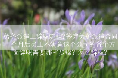 劳务派遣工辞职流程?签完劳务派遣合同一个月后员工不满意这个公司的各个方面辞职需要哪些步骤？怎么辞职?