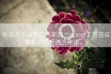 新西兰出国务工？新西兰open 工签签证费多少在新西兰申请。？