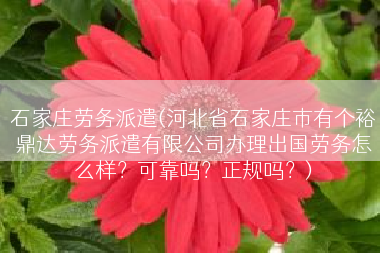 石家庄劳务派遣(河北省石家庄市有个裕鼎达劳务派遣有限公司办理出国劳务怎么样？可靠吗？正规吗？)