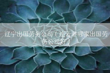 辽宁出国劳务公司（连云港哪家出国劳务公司好）