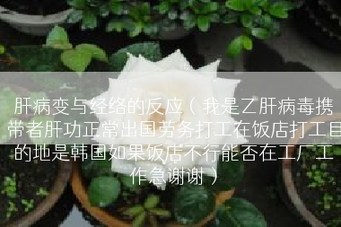 肝病变与经络的反应（我是乙肝病毒携带者肝功正常出国劳务打工在饭店打工目的地是韩国如果饭店不行能否在工厂工作急谢谢）
