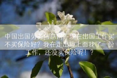 中国出国劳务信息网？现在出国工作买不买保险好？我在走出趣上面找了一份工作，还没买保险呢！？
