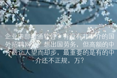 企业内部沟通软件？有没有非中介的国外招聘网站？想出国劳务，但高额的中介费让人望而却步，最重要的是有的中介还不正规，万？