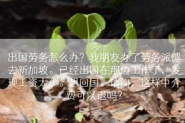 出国劳务怎么办？我朋友办了劳务派遣去新加坡。已经出国在那边工作了，发现工资太少。想回国。请问，这样中介费可以退吗？