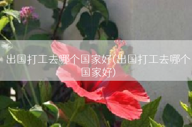 出国打工去哪个国家好(出国打工去哪个国家好)