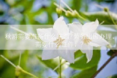 秋游需要准备什么东西?劳务出国办理，需要什么证件，?