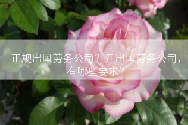 正规出国劳务公司？开出国劳务公司，有哪些要求？