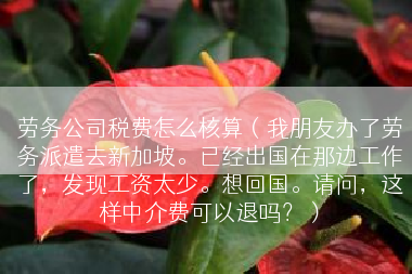 劳务公司税费怎么核算（我朋友办了劳务派遣去新加坡。已经出国在那边工作了，发现工资太少。想回国。请问，这样中介费可以退吗？）