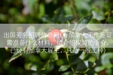 出国劳务招聘信息网(办加拿大工作签证需准备什么材料，请介绍权威的中介，已经有加拿大雇主，只是一般工种)