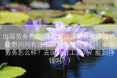 出国劳务费用(我听说出国劳务挺挣钱的，我想问问有过出国劳务的前辈们！出国劳务怎么样？去国外打工累吗？能到挣钱吗？)