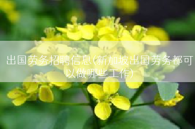 出国劳务招聘信息(新加坡出国劳务都可以做哪些工作)