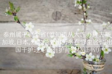 泰州属于哪个省(谁知道从大连办理去新加坡,日本,爱尔兰外出劳务在哪里咨询!出国干护理专业有护师资格证书!)