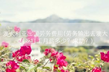 澳大利亚出国劳务费用(劳务输出去澳大利亚打工月薪多少？求助？)