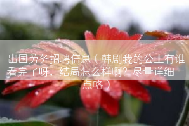 出国劳务招聘信息（韩剧我的公主有谁看完了呀，结局怎么样啊？尽量详细一点咯）