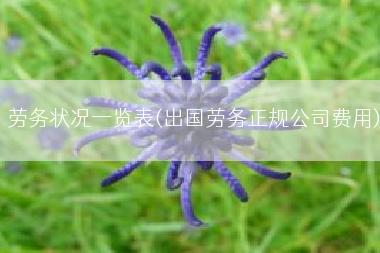 劳务状况一览表(出国劳务正规公司费用)