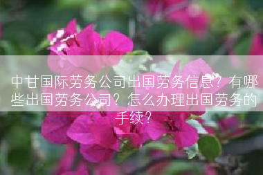 中甘国际劳务公司出国劳务信息？有哪些出国劳务公司？怎么办理出国劳务的手续？