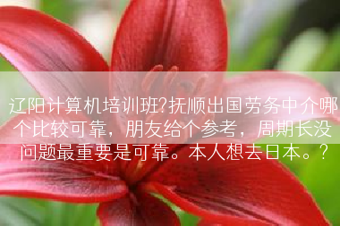 辽阳计算机培训班?抚顺出国劳务中介哪个比较可靠，朋友给个参考，周期长没问题最重要是可靠。本人想去日本。?