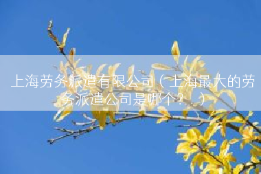 上海劳务派遣有限公司（上海最大的劳务派遣公司是哪个？.）
