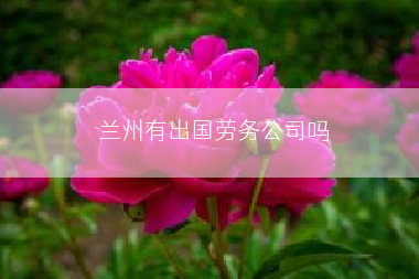 兰州有出国劳务公司吗