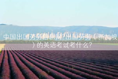 中国出国劳务信息网?出国劳务（新加坡）的英语考试考什么?