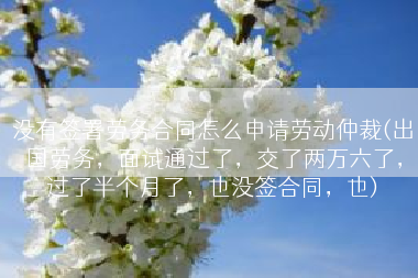 没有签署劳务合同怎么申请劳动仲裁(出国劳务，面试通过了，交了两万六了，过了半个月了，也没签合同，也)