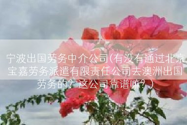 宁波出国劳务中介公司(有没有通过北京宝嘉劳务派遣有限责任公司去澳洲出国劳务的？这公司靠谱嘛？)