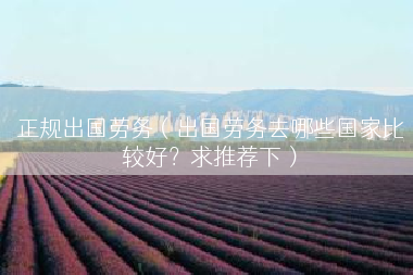 正规出国劳务（出国劳务去哪些国家比较好？求推荐下）