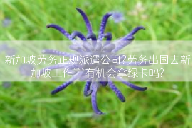 新加坡劳务正规派遣公司?劳务出国去新加坡工作```有机会拿绿卡吗?