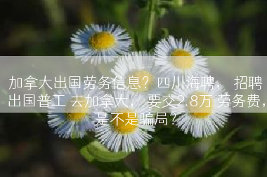 加拿大出国劳务信息？四川海聘， 招聘出国普工 去加拿大， 要交2.8万 劳务费，是不是骗局？