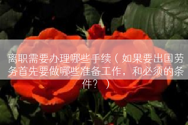 离职需要办理哪些手续（如果要出国劳务首先要做哪些准备工作，和必须的条件？）