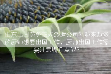 山东出国劳务正规派遣公司？越来越多的厨师想要出国工作，厨师出国工作需要注意哪几点呢？