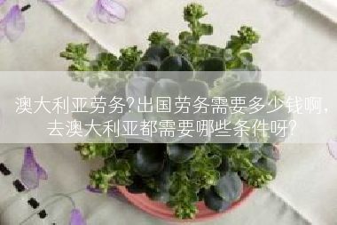澳大利亚劳务?出国劳务需要多少钱啊，去澳大利亚都需要哪些条件呀?